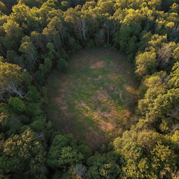 Fall Food Plots for Deer: How to Prepare for Hunting Season
