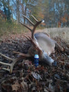 White Lightning Power Dust: Best Doe Estrous Powder for Whitetail Hunting