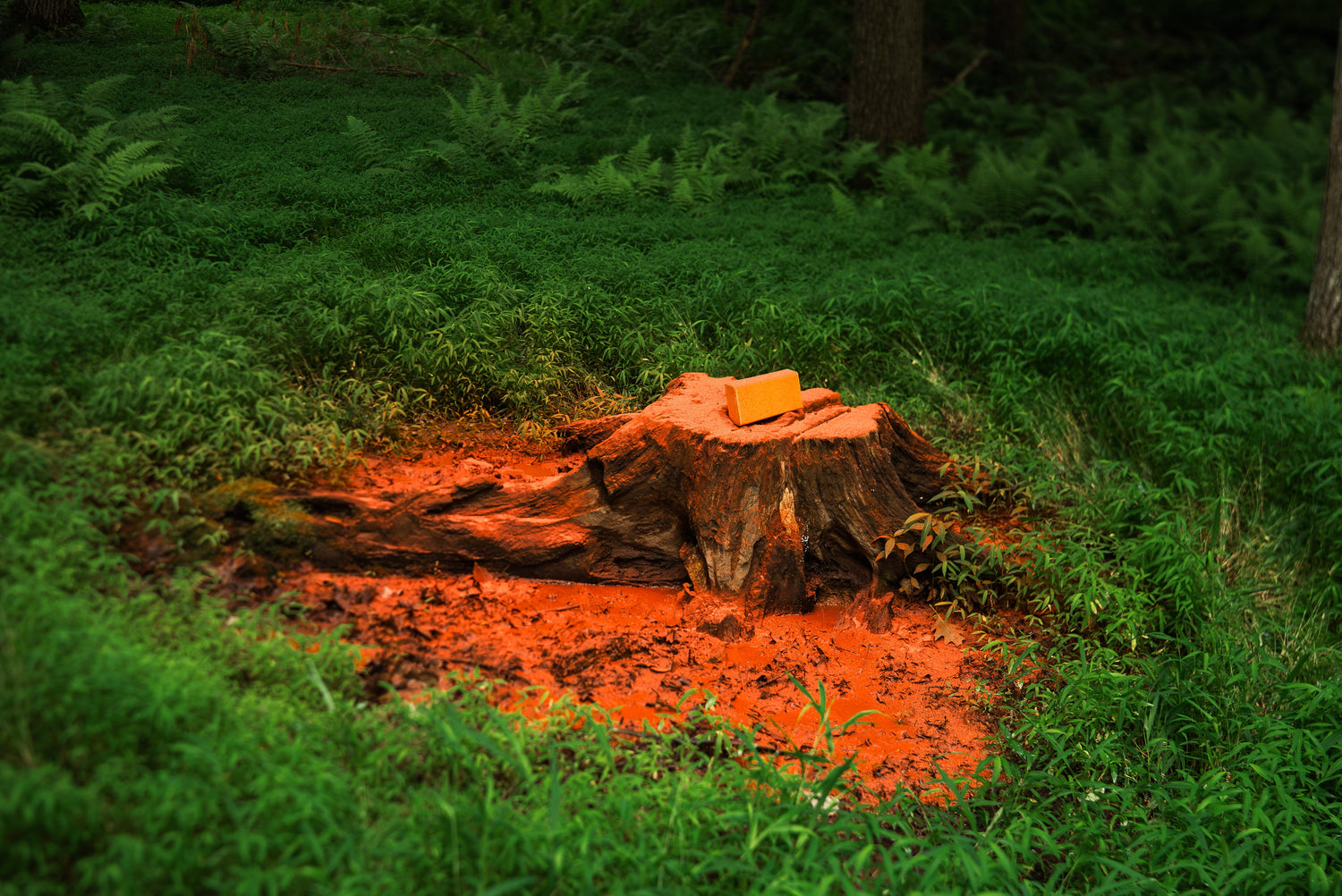 Mineral & Salt Blocks