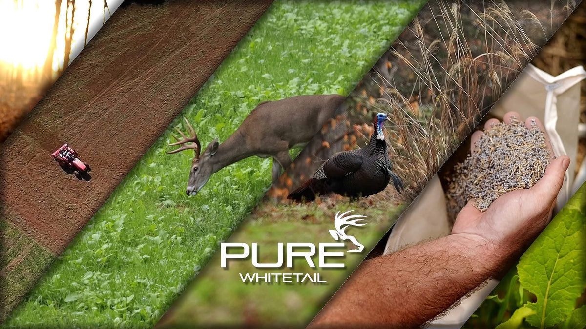 Food Plot Seed