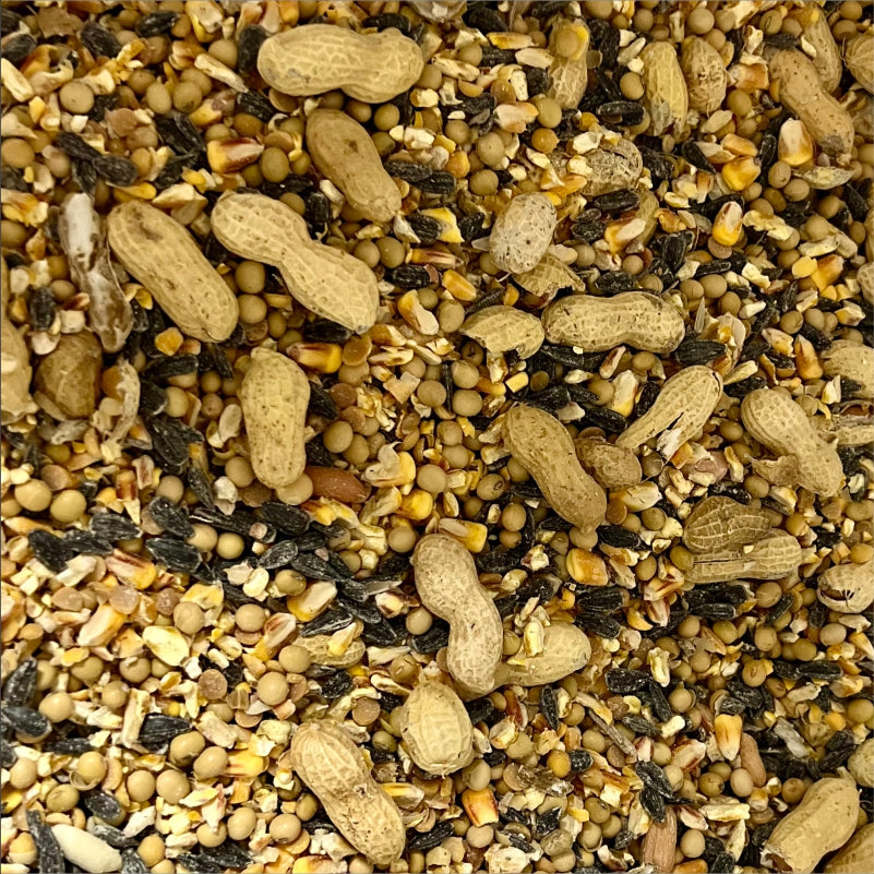 Feed + Block Bundles