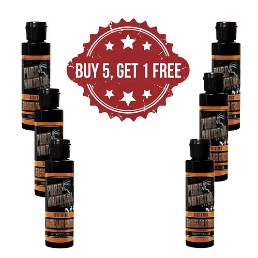 Bachelor Group | Dealers