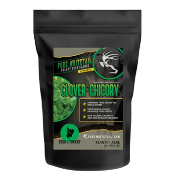 Clover + Chicory Food Plot Seed