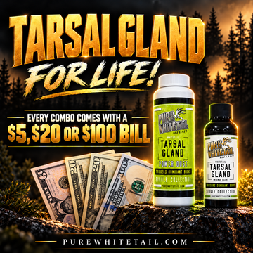 TARSAL FOR LIFE BUNDLE! Spot #13