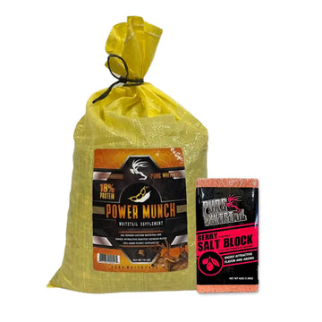 Power Munch + Berry Salt Block Bundle