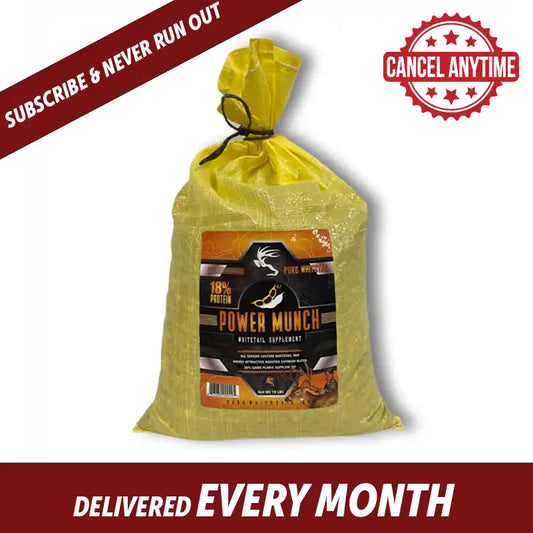 SUBSCRIPTION | POWER MUNCH