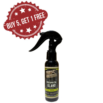 Preorbital Gland | Buy 5 Get 1 FREE