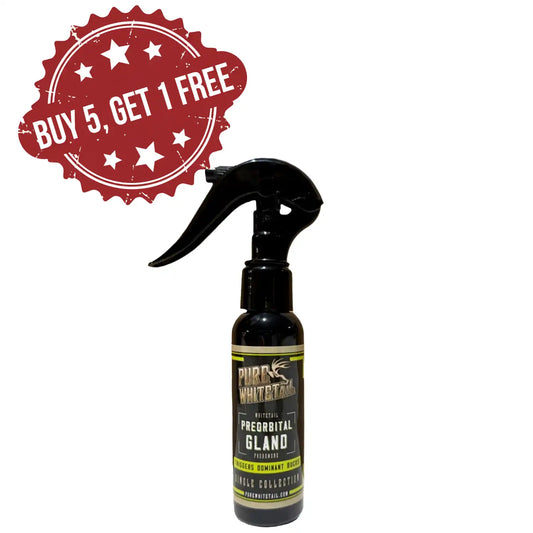 Preorbital Gland | Buy 5 Get 1 FREE