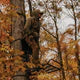 Rivers Edge OUTLAW XL Treestand