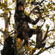Rivers Edge Big Foot Treestand