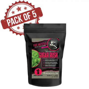Sugar Rush Dealer Pack
