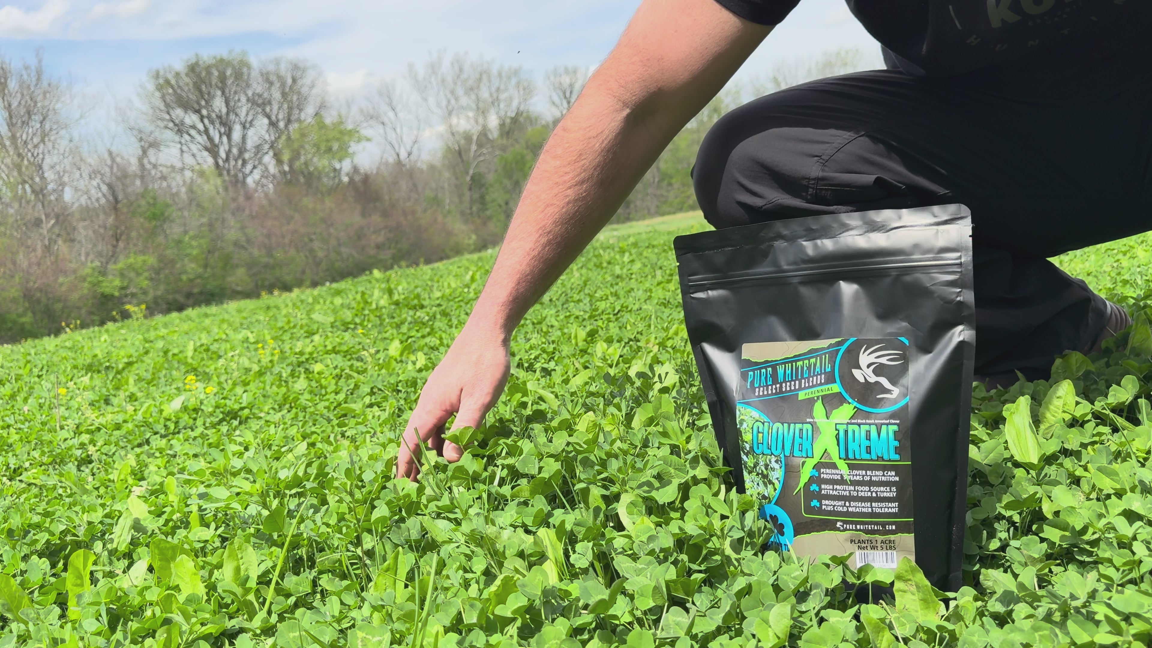 Clover Xtreme – Pure Whitetail