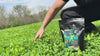 Clover Xtreme